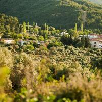 Genel Görünüm Galerisi