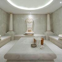 Spa Galerisi