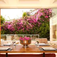 Genel Görünüm Galerisi