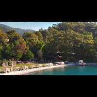 Video Galerisi