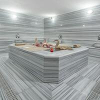 Spa Galerisi