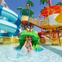 Genel Görünüm Galerisi