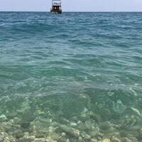 Genel Görünüm Galerisi