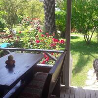 Genel Görünüm Galerisi