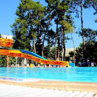 Genel Görünüm Galerisi