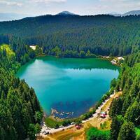 Genel Görünüm Galerisi