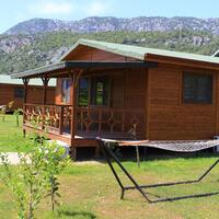 Genel Görünüm Galerisi