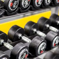 Spor Galerisi