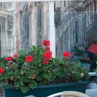 Genel Görünüm Galerisi