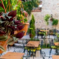 Lobi & Oturma Alanları Galerisi