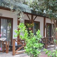 Genel Görünüm Galerisi