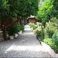 Genel Görünüm Galerisi