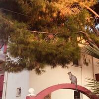 Genel Görünüm Galerisi