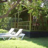 Genel Görünüm Galerisi