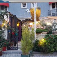 Genel Görünüm Galerisi