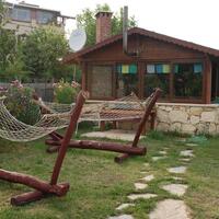 Aktivite Galerisi