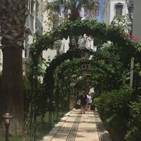 Genel Görünüm Galerisi