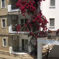 Genel Görünüm Galerisi