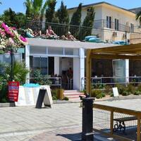 Aktivite Galerisi