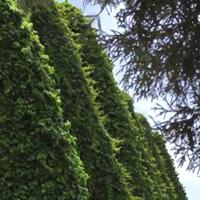 Genel Görünüm Galerisi