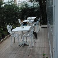 Bahçe & Oturma Alanları Galerisi