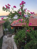 Manzara Galerisi