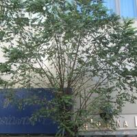 Genel Görünüm Galerisi