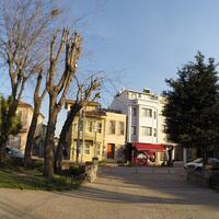 Manzara Galerisi