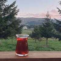 Manzara Galerisi