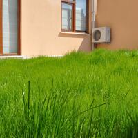 Genel Görünüm Galerisi