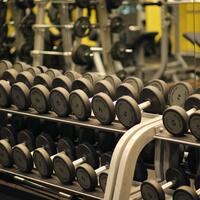 Spor Galerisi