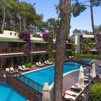 Genel Görünüm Galerisi