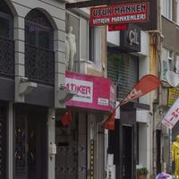 Manzara Galerisi