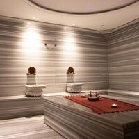 Spa Galerisi