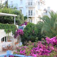 Genel Görünüm Galerisi