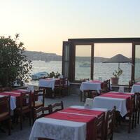 Genel Görünüm Galerisi