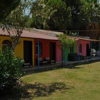 Manzara Galerisi