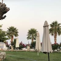 Aktivite Galerisi