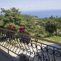 Genel Görünüm Galerisi