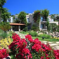 Genel Görünüm Galerisi