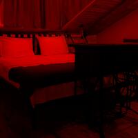 Oda Özellikleri Galerisi