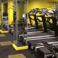Spor Galerisi