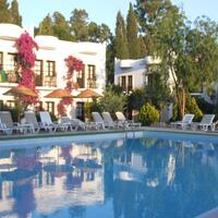 Genel Görünüm Galerisi