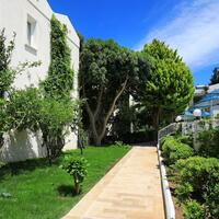 Genel Görünüm Galerisi