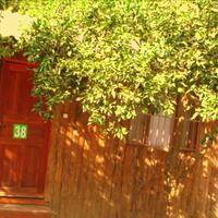 Genel Görünüm Galerisi