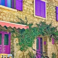 Genel Görünüm Galerisi