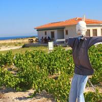 Genel Görünüm Galerisi