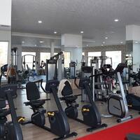 Spor Galerisi