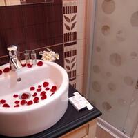 Genel Görünüm Galerisi