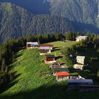 Genel Görünüm Galerisi